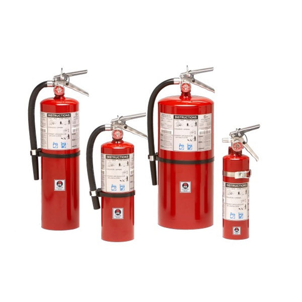 JL Industries Galaxy 10 10 lb BC Fire Extinguisher (FG10C) (series photo)