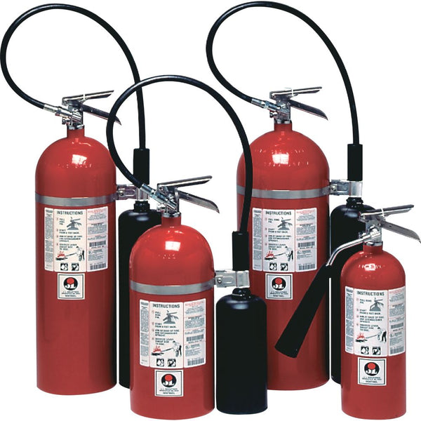 JL Industries Sentinel 10 10 lb CO2 Fire Extinguisher (FS10C) (series photo)