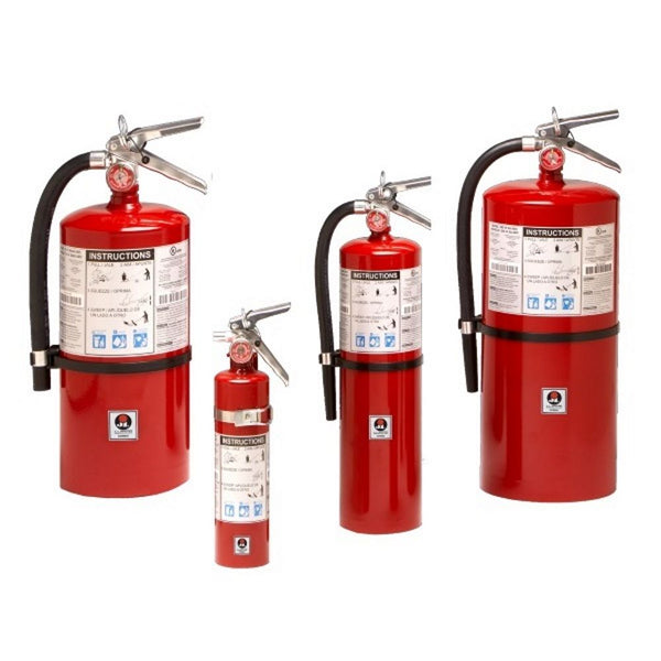 JL Industries Cosmic 2-1/2E 2-1/2 lb ABC Fire Extinguisher (FE02C) (series photo)